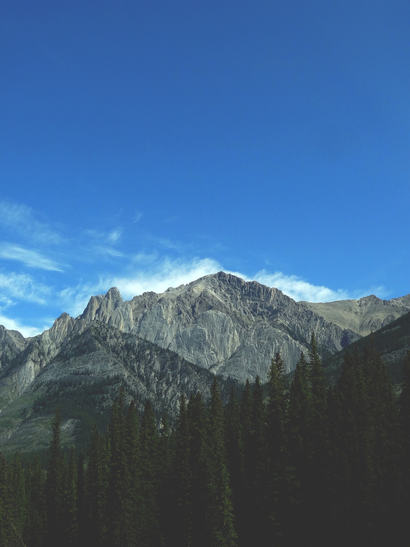 Mountain landscape reflecting Green Endeavor`s environmental stewardship